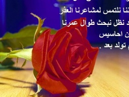 احاسيس مجروحه