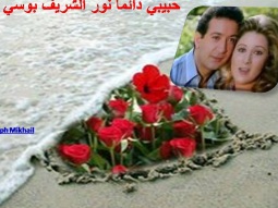 حبيبي دائماً