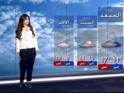 نشرة الطقس المسائية 22-01-2016 مع دارين شاهين