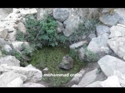 العين البيضاء قرب عسفيا وادي الطبلفي جبال الكرمل