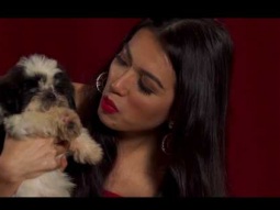 Miss Universe Contestants Answer Final Questions with Puppies