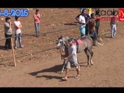 شوط مواليد 2014 ثلج الريم امير سولاز دلال ميدان قانا الجليل كفركنا 26 8 2016