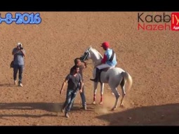 شوط مفتوح الدرجات سلطان الميدان سيف المسعود رداد ميدان قانا الجليل كفركنا 26 8 2016