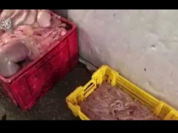 حملة الشرطه في الناصرة وضواحيها وضبط 6 طن لحوم ذبائح دون رقابة بيطريه