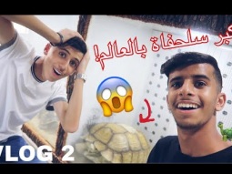 #فلوق قررنا نشتري حيوان تتوقعون ايش !!