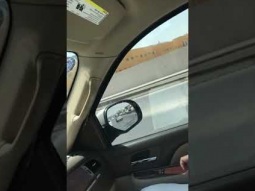 بلا عنوان