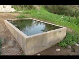 رائع جدا ربيع فلسطين باجمل حلة