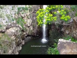 شلالات فلسطين الجميلة مع الجولان المحتل