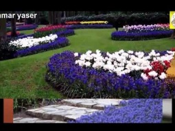 ❶ شيلة روعه رومانسيه ll احلامنا ll مسرع + HD | mp3
