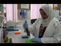 مختبر الوراثة الجزيئية نافذة أمل للحد من المشكلات الجينية