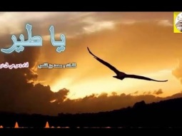 #شيلة خرافيه رايقه ذوق ll يا طير ll مسرع / 2018 ~ 2019 + HD | mp3