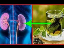 مشروبات لتنظيف الكلى طبيعيا