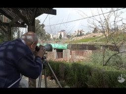 جمعية الحياة البرية في فلسطين ودورها في نشر الوعي الب