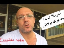 امريكا لحمه جمبري فراخ ببلاش