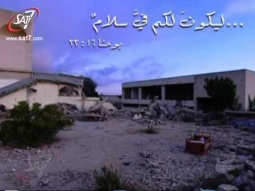 سلام وسط العنف