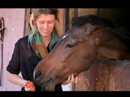 الشابة الأسترالية التي تنقذ الأحصنة المصرية
