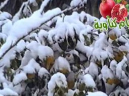 فلم الثلج في بلدة كفركنا والناصرة عام 1992