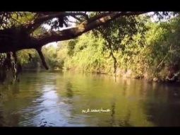 أمازون فلسطين - نهر البانياس السفلي مسار ولا أروع في مياه باردة