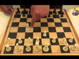 تعلم كيف تلعب الشطرنج للمبتدئين من الصفر حتى الاحتراف