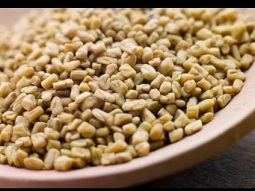 ما هي فوائد الحلبة و اضرارها ؟؟