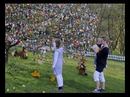 الماني يزين شجرة عيد الفصح مستخدما 10 آلاف بيضة ملونة