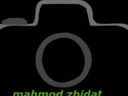 محمود زبيدات  فوتوغرافي على درب الاحتراف
