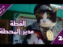 "القطة مدير المحطة" - غرائب الاحداث والأخبار حول العالم | حلقة 24