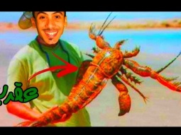 حـيـوانـي الألـيـف ! | World Of Undead