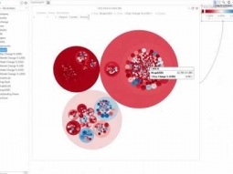 Datawatch Panopticon How-To | Add Circle Pack
