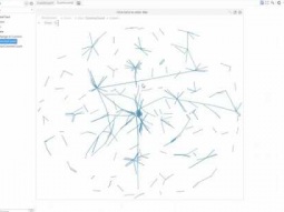 Datawatch Panopticon How-To | Add Network Graph