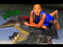 هواية اللعب مع التماسيح | dungeon punks