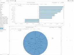 Datawatch Panopticon Designer – How-To TopNRank