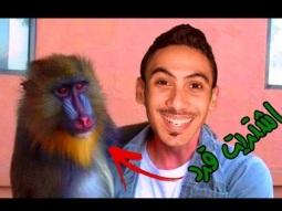 ساعدوني كيف اربي قرد ؟؟ | APE escape