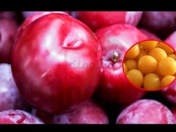 أهم الفوائد الصحية في فاكهة البرقوق، أبرزها مقاومة السرطان