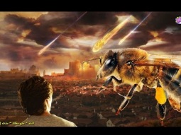 إنقراض النحل وعلامات يوم القيامة !