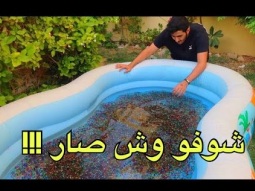 تجربة 200 الف من الكرات السحريه في المسبح !!!