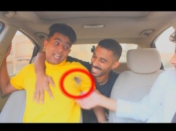 مقلب جبنا عنكبوت خطير وقرصه ووديناه المستشفى !