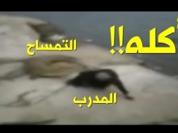 بالفيديو: 5 هجمات مرعبة للتماسيح على البشر!