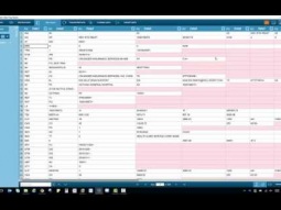 Datawatch Monarch | 835 Remittance File Demo