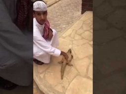 انخرش المسكين 