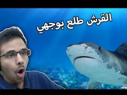 محاولة الهروب من القرش! (2)