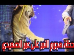 لحظة دخول النمر على الفنان عمر الصعيدي | قناة كراميش  Karameesh Tv