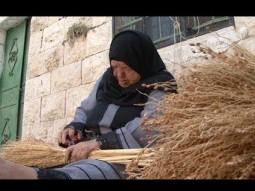 الحاجّة عائشة تصنع مكانس القش بالرغم من تراجع صناعتها