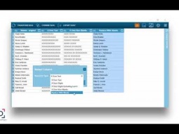 Datawatch Monarch | Data Prep Functions - Redacting Field Values