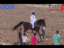 الشوط العاشر خيل عربية أصيلة حرب غفران عوفر ميدان قانا الجليل كفركنا 31/8/2017