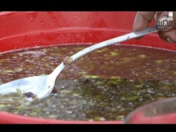 زيت الطفاح.. هدية الفلاحين