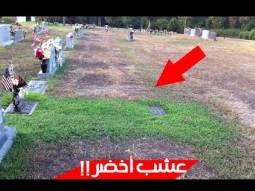 لم تفهم الأم سبب كثرة الخضرة حول قبر ابنها - فانغمرت في البكاء عندما عرفت السبب !!