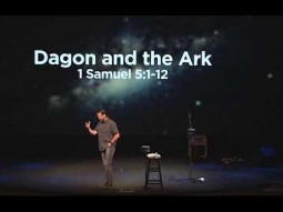 Dragon And The Ark - Shawn Stone