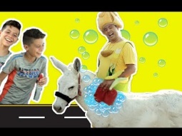 فوزي موزي وتوتي - فوزي موزي يغسل الحمار - fozi washes the donkey