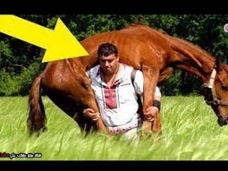 صورة لرجل يحمل حصان تثير الجدل ! | تعرف على السبب الغريب